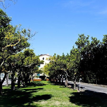 Don Peppe Rooms : Villaggio Green Sant'Angelo in Formis Exterior foto