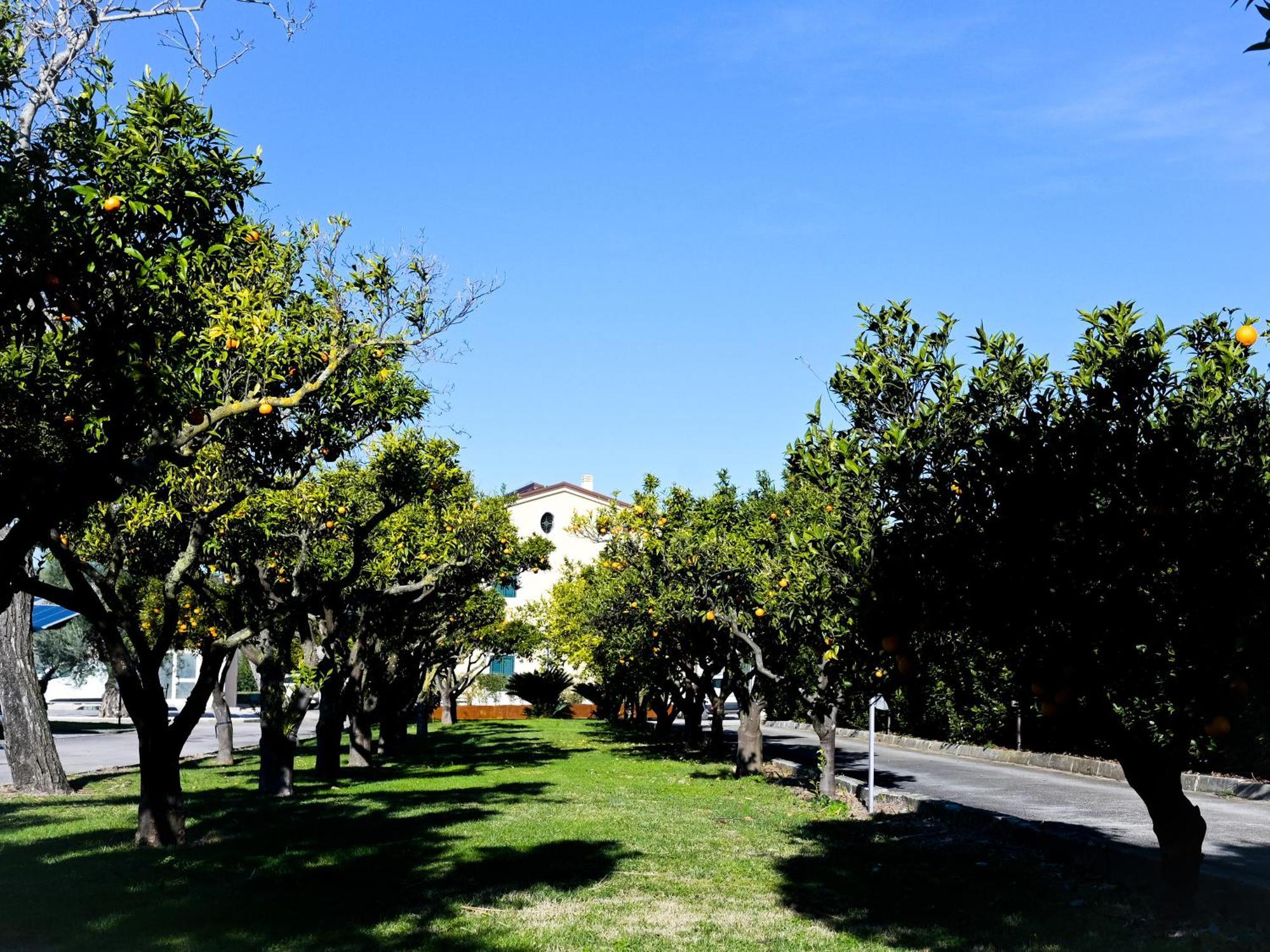 Don Peppe Rooms : Villaggio Green Sant'Angelo in Formis Exterior foto