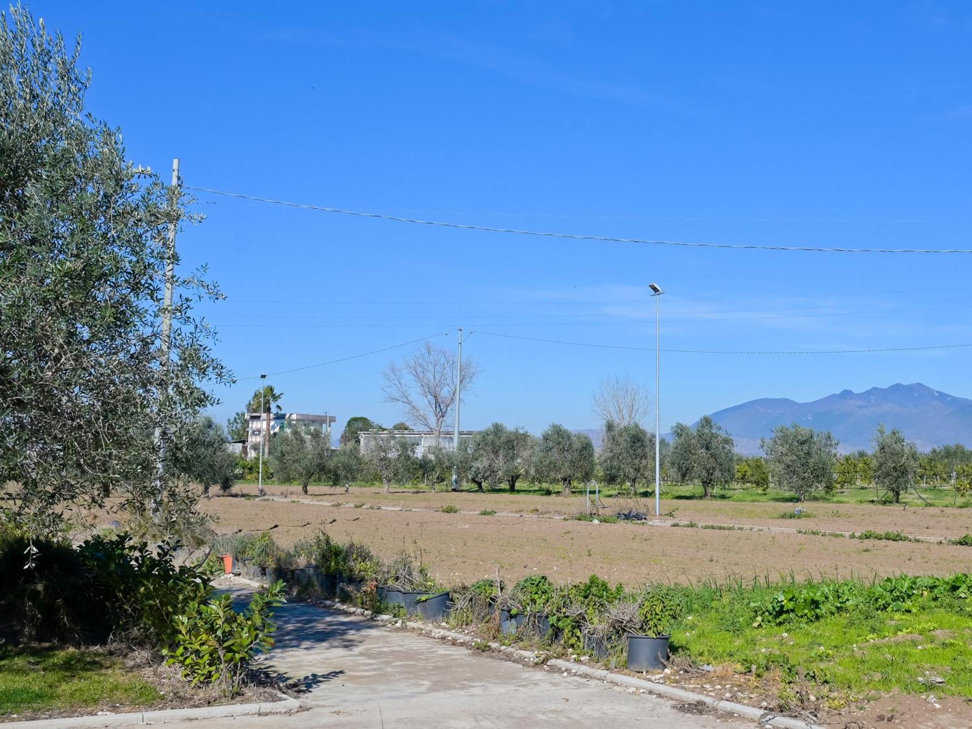 Don Peppe Rooms : Villaggio Green Sant'Angelo in Formis Exterior foto